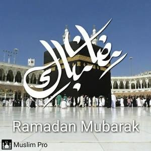 Meet your Posher, Nate